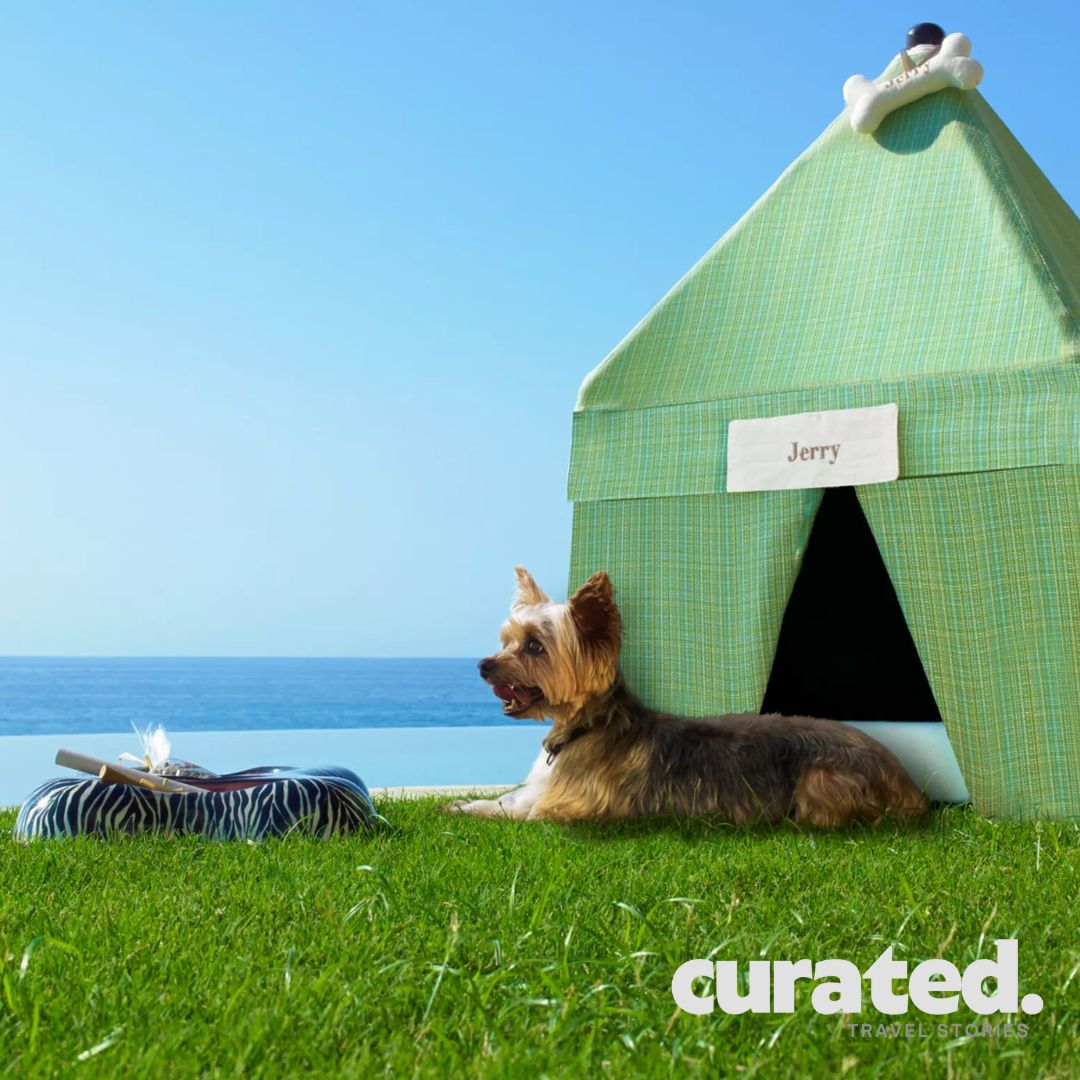 Pure Pet Luxury & Comfort