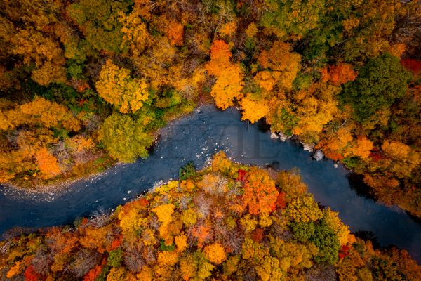 The Laurel Highlands Makes Fall Foliage a Destination