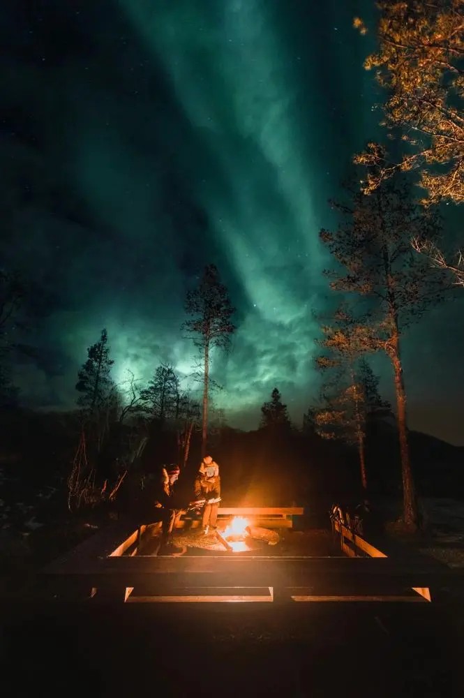 What If You Could See the Northern Lights and Follow the Whales?